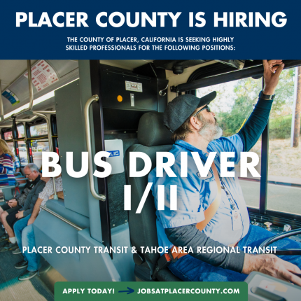Bus Driver - I